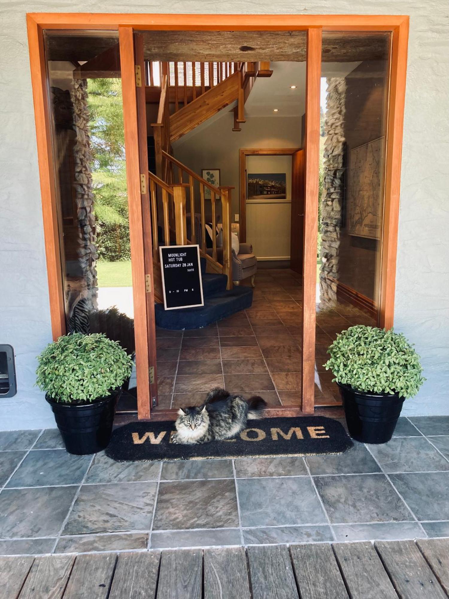 Moonlight Escape Lodge Queenstown Bagian luar foto